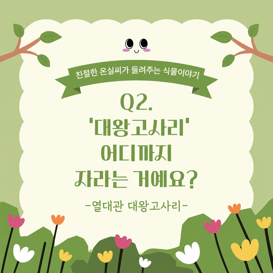 친절한 온실씨가 들려주는 식물이야기 Q2 대왕고사리 어디까지 자라는 거예요? 열대관 대왕고사리