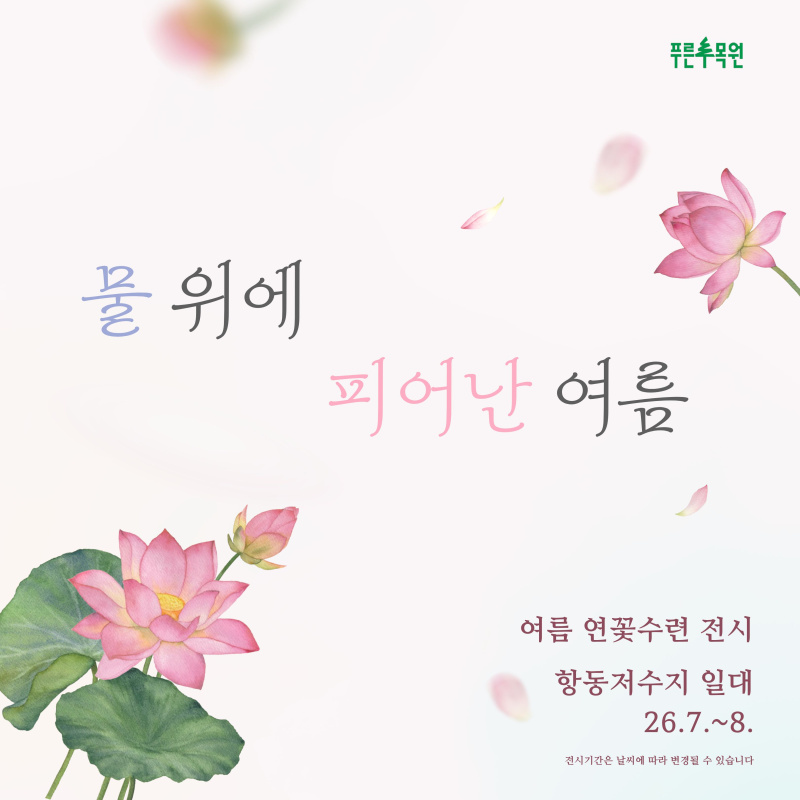 물 위에 피어난 여름
