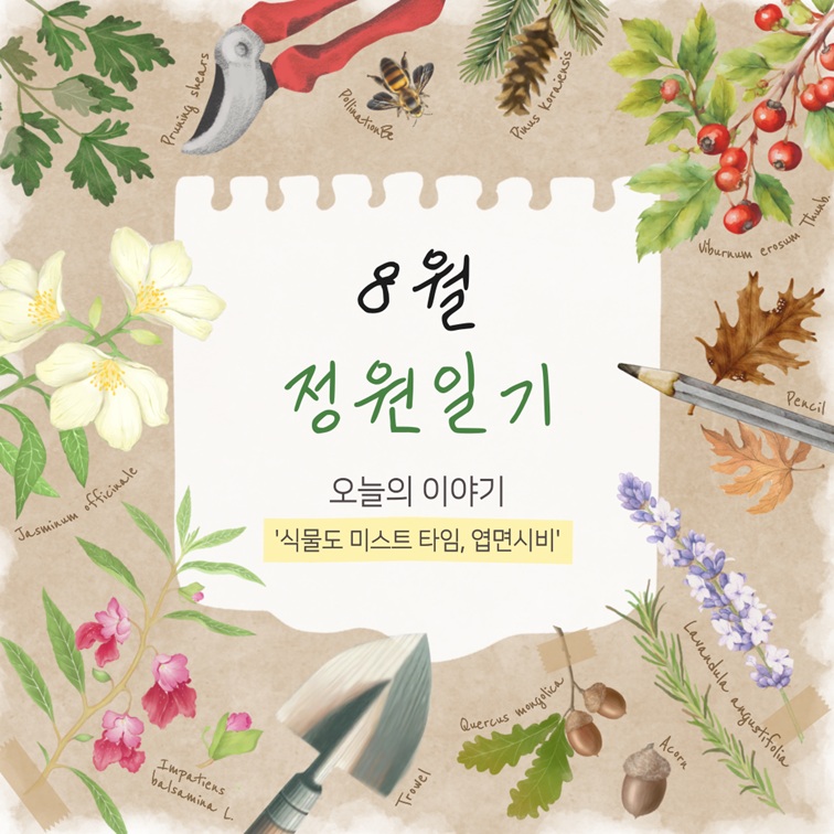 8월 정원일기 오늘의 이야기 식물도 미스트 타임, 엽면시비