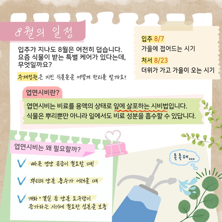 8월 일정 안내 이미지