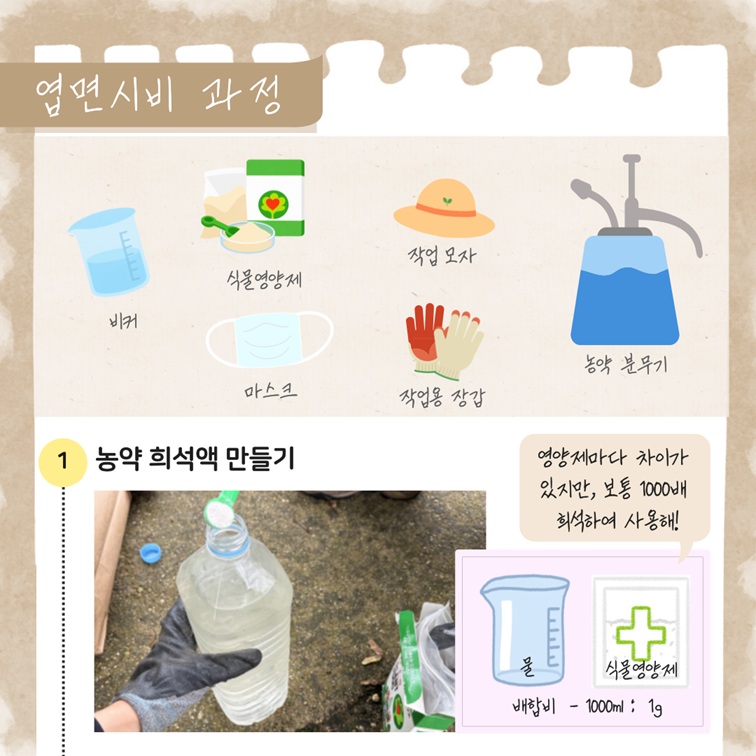 엽면시비 과정 1단계 이미지