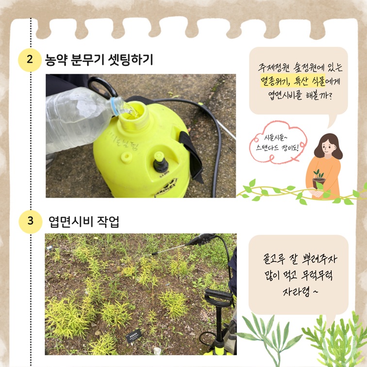 엽면시비 과정 2단계 이미지