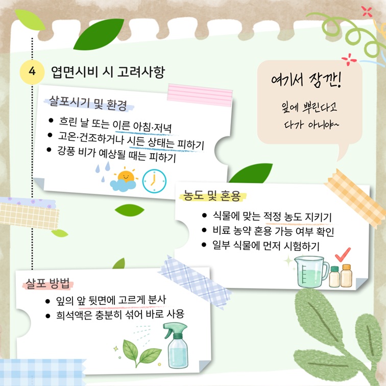 엽면시비 시 고려사항 이미지