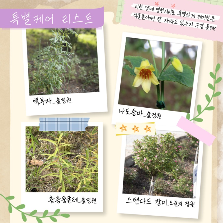 특별케어 리스트 이미지