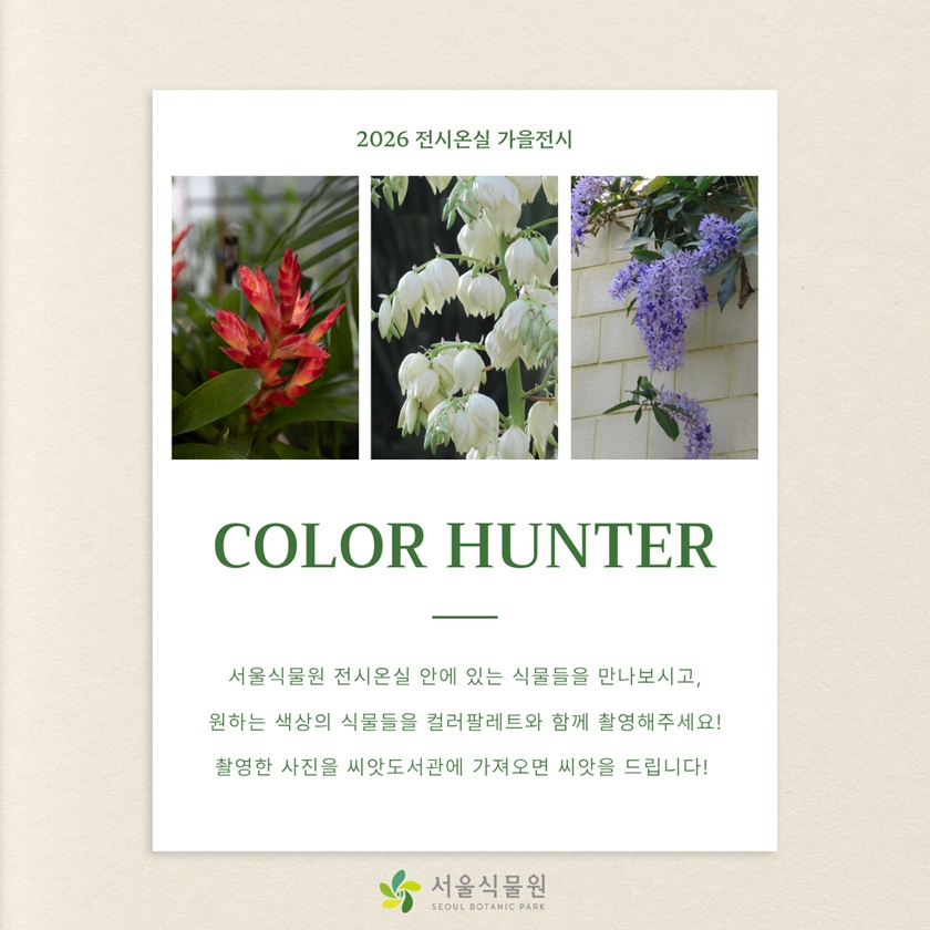 2026 전시온실 가을전시 COLOR HUNTER 서울식물원 전시온실 안에 있는 식물들을 만나보시고, 원하는 색상의 식물들을 컬러팔레트와 함께 촬영해주세요!