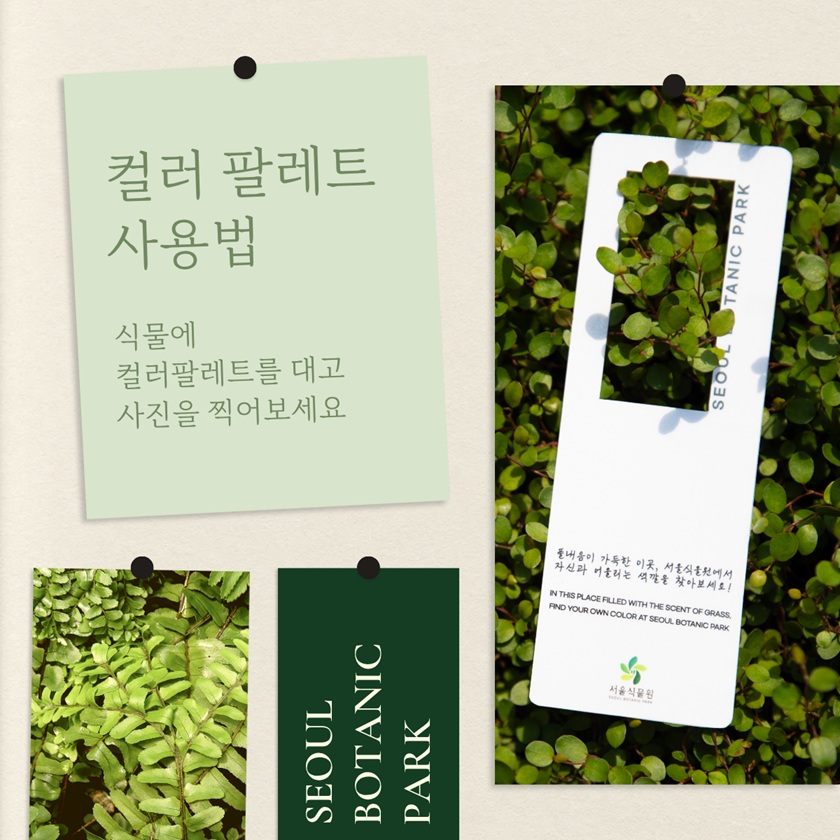 컬러 팔레트 사용법 식물에 컬러팔레트를 대고 사진을 찍어보세요 SEOUL BOTANIC PARK