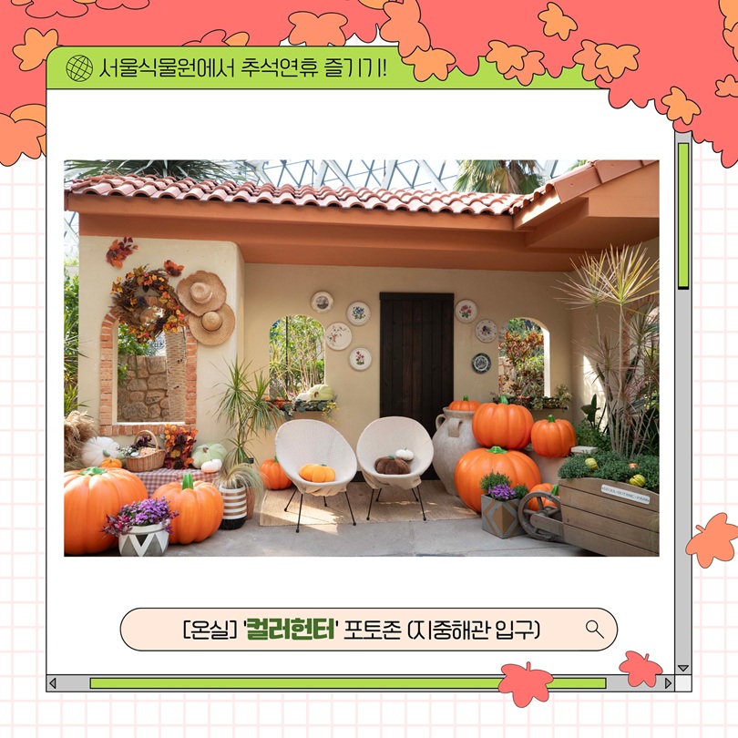 서울식물원에서 추석연휴 즐기기! 온실 컬러헌터 포토존 지중해관 입구