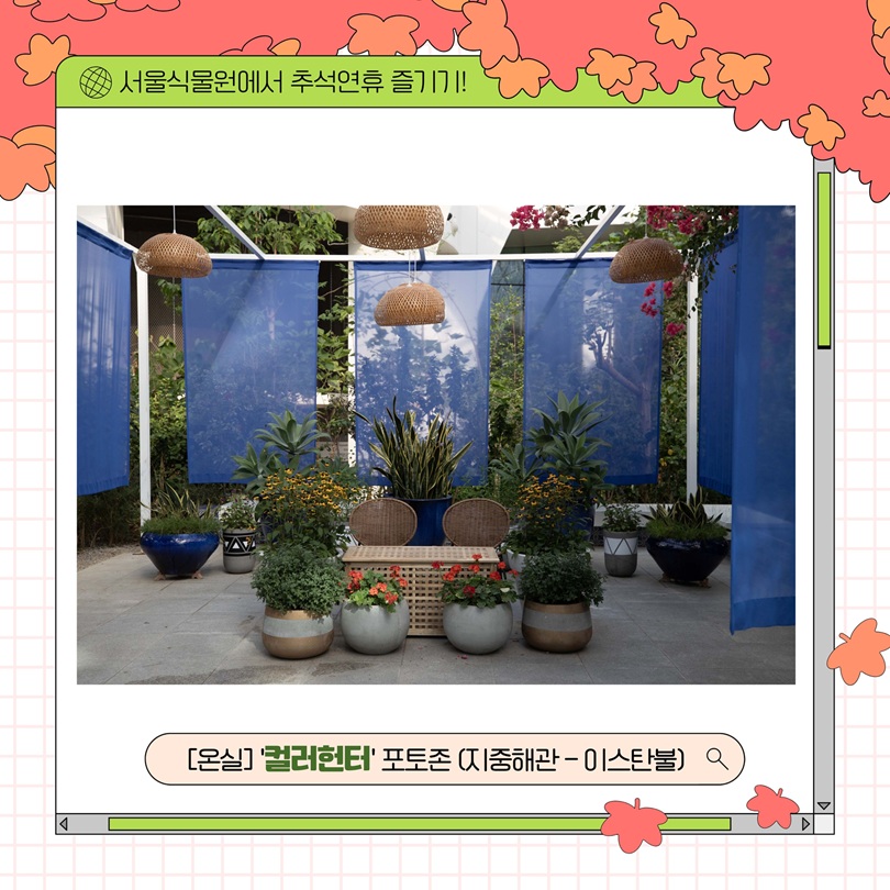 서울식물원에서 추석연휴 즐기기! 온실 컬러헌터 포토존 지중해관 이스탄불