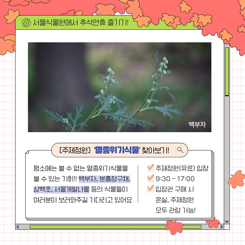 서울식물원에서 추석연휴 즐기기! 백부자 사진과 주제정원 멸종위기식물 안내