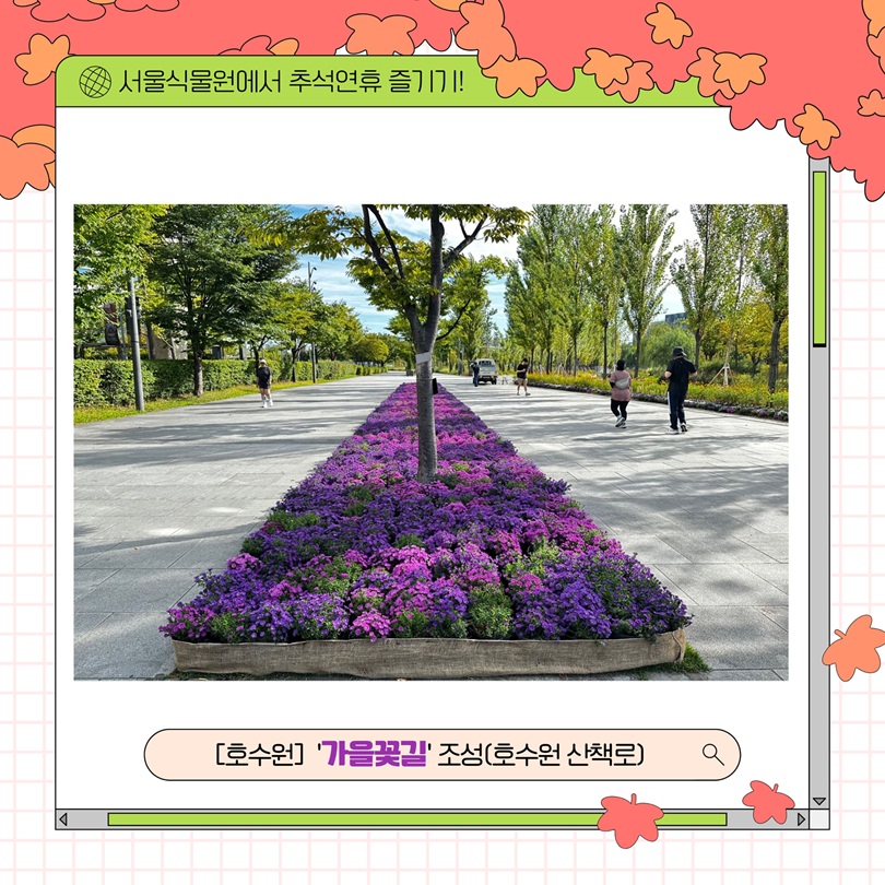 서울식물원에서 추석연휴 즐기기! 호수원 가을꽃길 조성 호수원 산책로