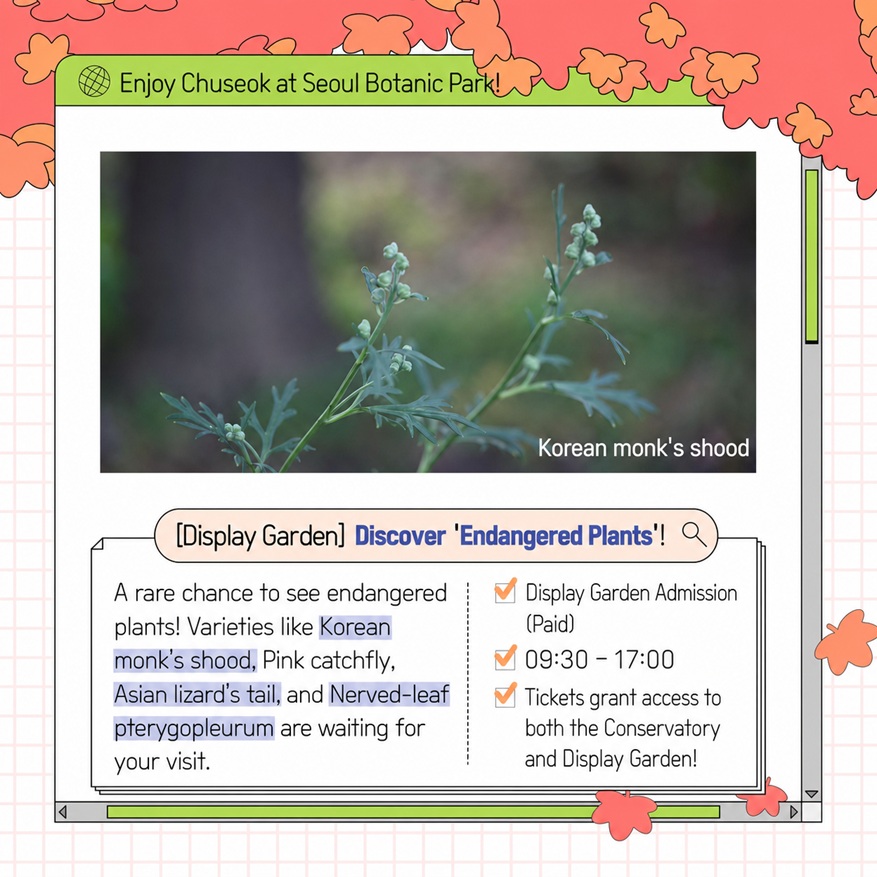 Enjoy Chuseok Holiday at Seoul Botanic Park - Theme Garden Endangered Plants Korean Monkshood