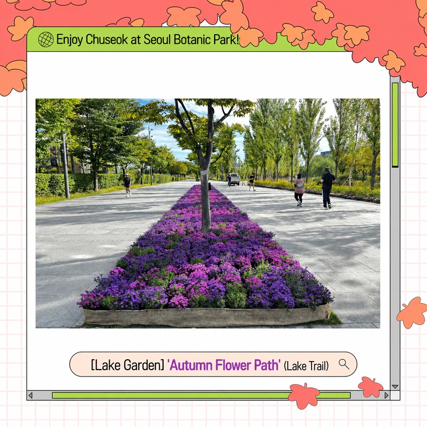 Enjoy Chuseok Holiday at Seoul Botanic Park - Lake Garden Autumn Flower Path