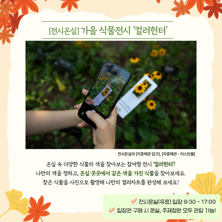 컬러헌터
