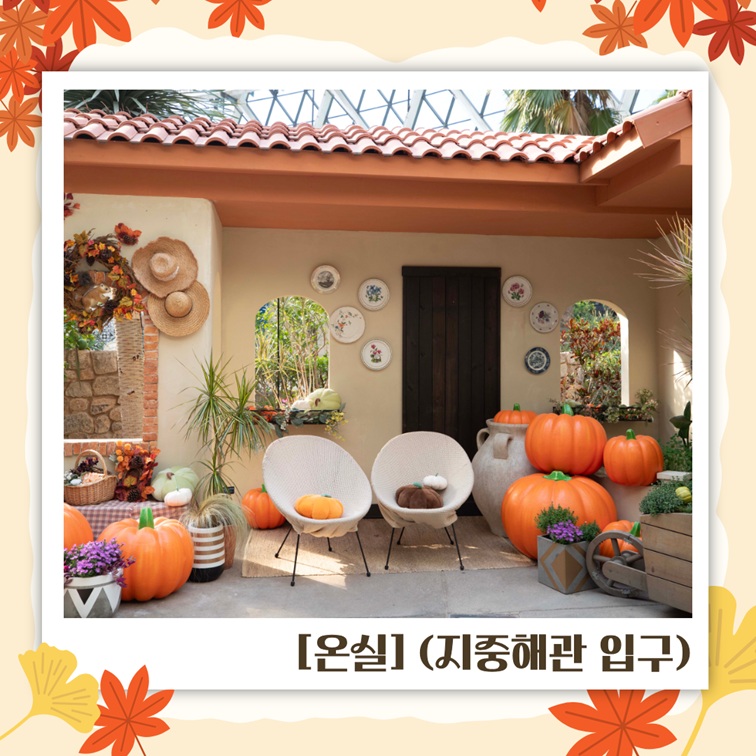 지중해관 입구