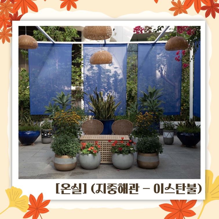 이스탄불관