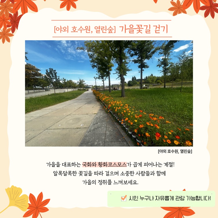 가을꽃길 걷기