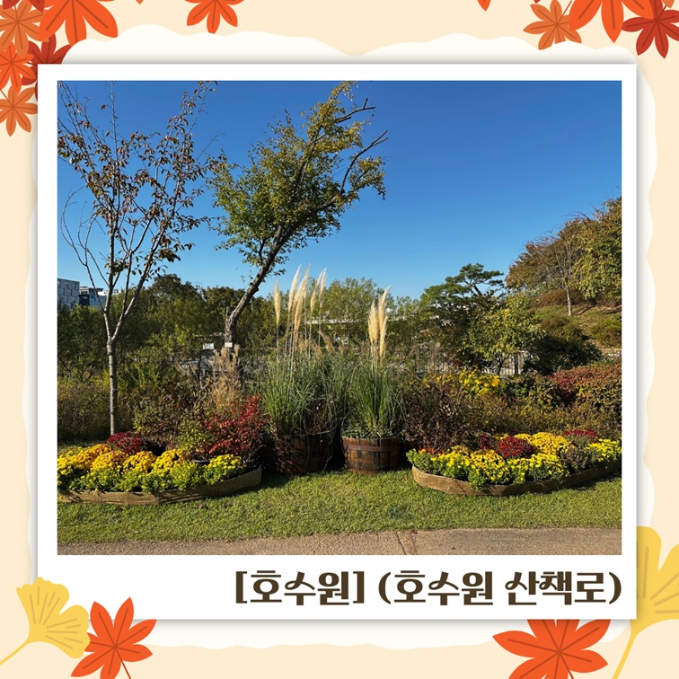 호수원 산책로