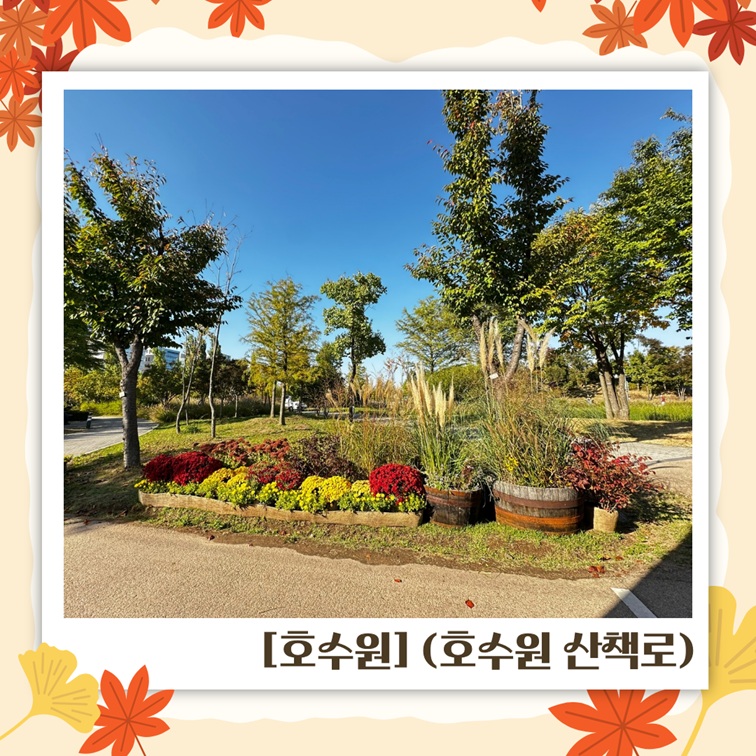 호수원 산책로