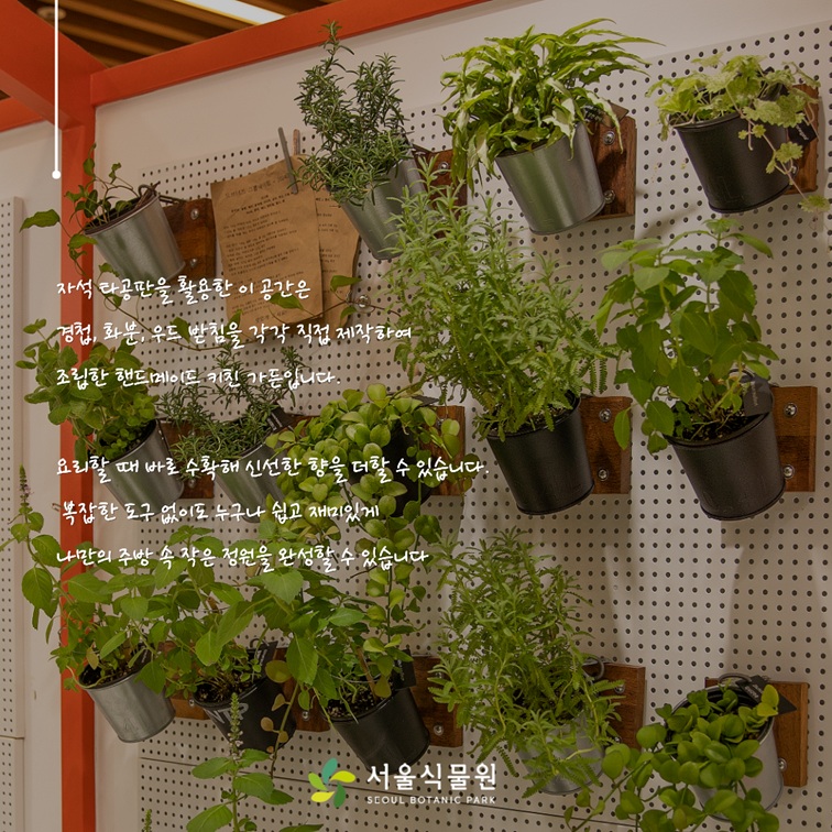 자석 타공판을 활용한 핸드메이드 키친 가든 주방 속 작은 정원 완성 서울식물원