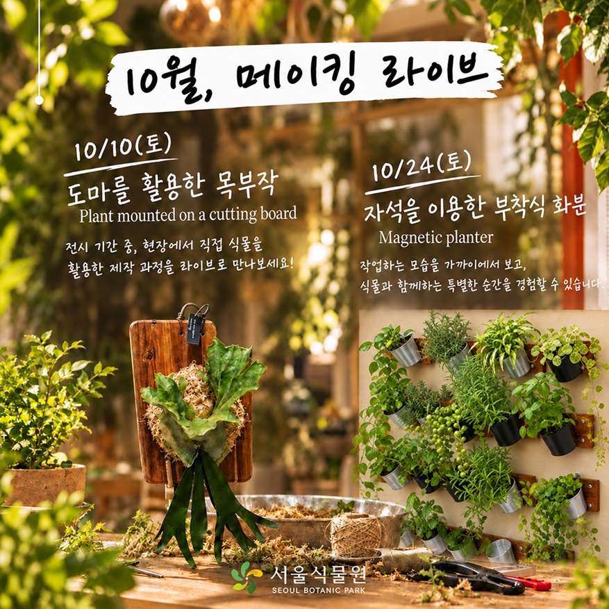 10월, 메이킹 라이브 10월10일 토요일 도마를 활용한 목부작 Plant mounted on a cutting board 전시 기간 중, 현장에서 직접 식물을 활용한 제작 과정을 라이브로 만나보세요! 10월24일 토요일 자석을 이용한 부착식 화분 Magnetic planter 작업하는 모습을 가까이에서 보고, 식물과 함께하는 특별한 순간을 경험할 수 있습니다. 서울식물원 SEOUL BOTANIC PARK