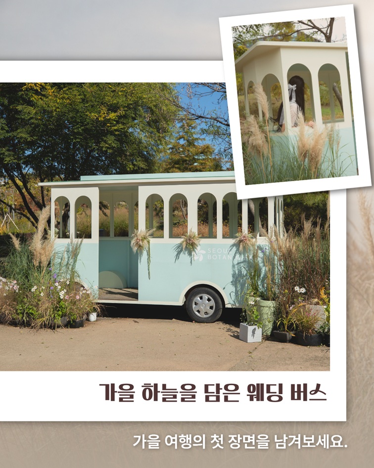 가을 하늘을 담은 웨딩 버스 가을 여행의 첫 장면을 남겨보세요.