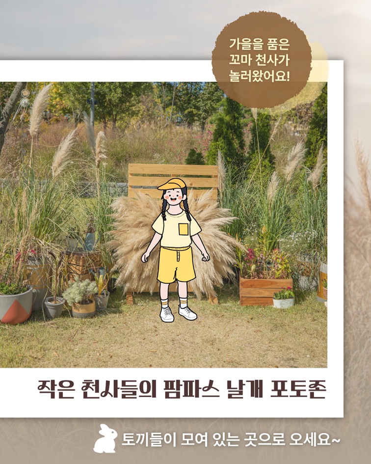 가을을 품은 꼬마 천사가 놀러왔어요! 작은 천사들의 팜파스 날개 포토존 토끼들이 모여 있는 곳으로 오세요~