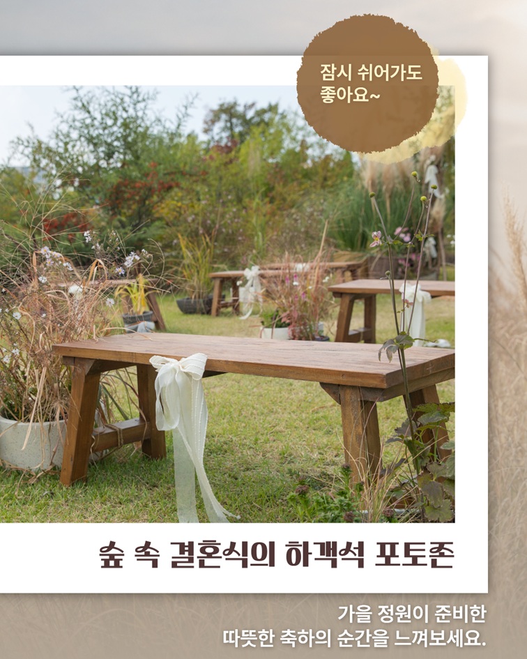 잠시 쉬어가도 좋아요~ 숲 속 결혼식의 하객석 포토존 가을 정원이 준비한 따뜻한 축하의 순간을 느껴보세요.