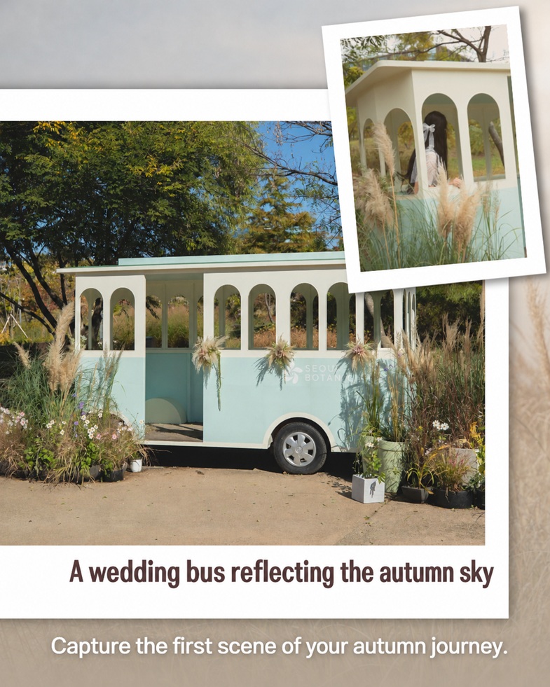 A wedding bus reflecting the autumn sky. Capture the first scene of your autumn journey.