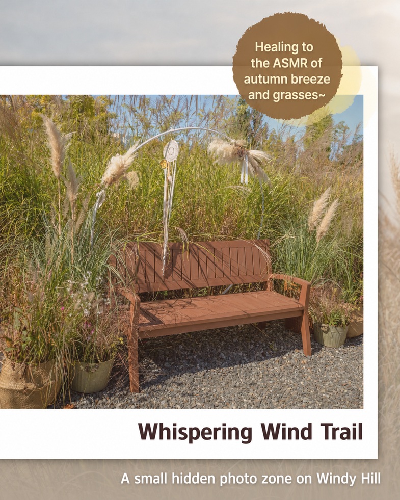 Healing to the ASMR of autumn breeze and grasses~ Whispering Wind Trail. A small hidden photo zone on Windy Hill.