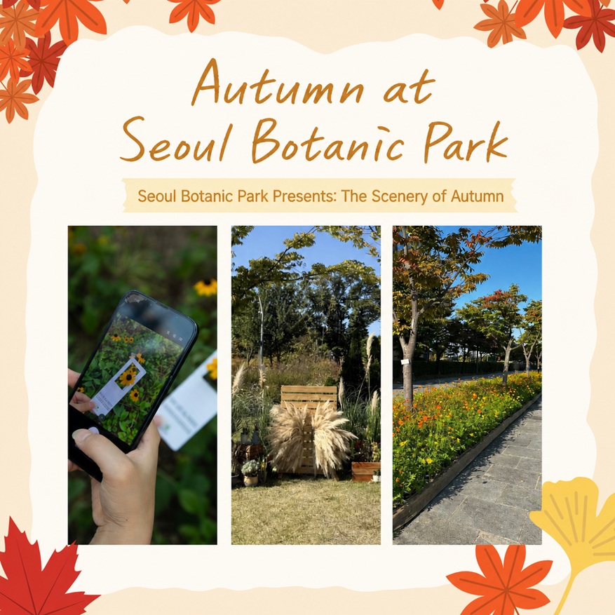 Autumn at Seoul Botanic Park Seoul Botanic Park Presents: The Scenery of Autumn