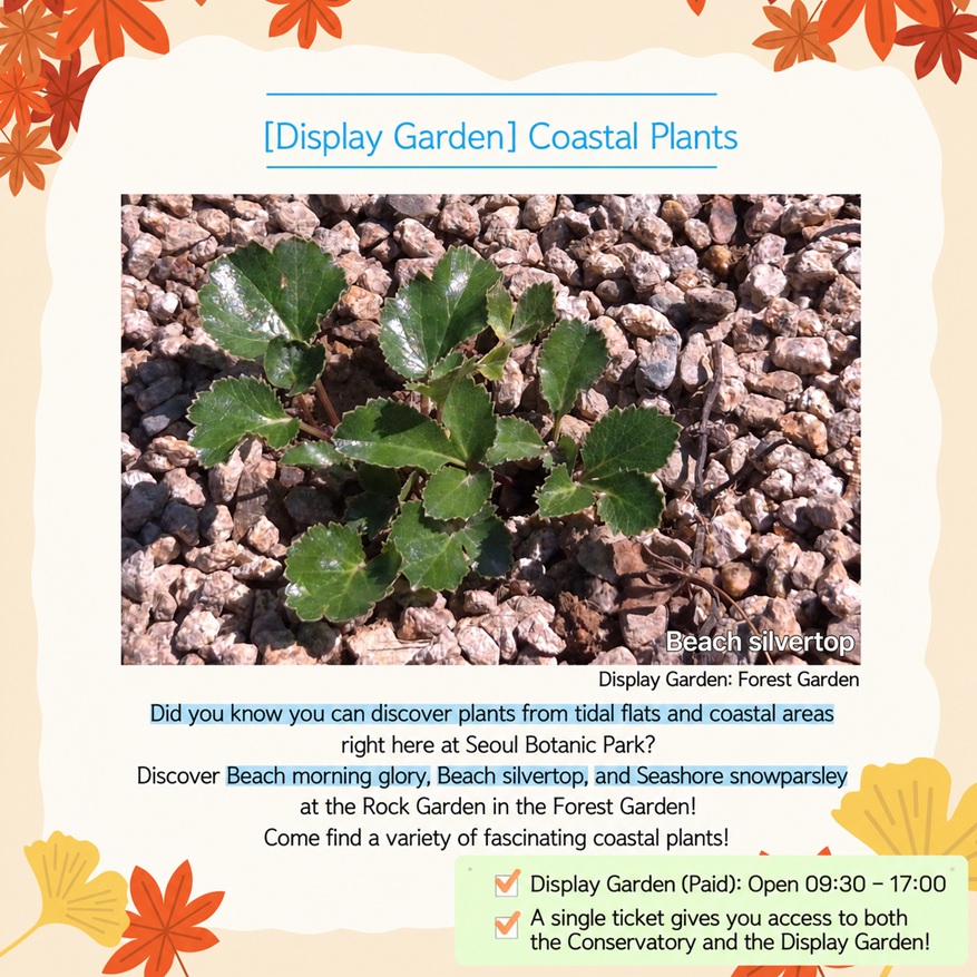 Coastal Plants