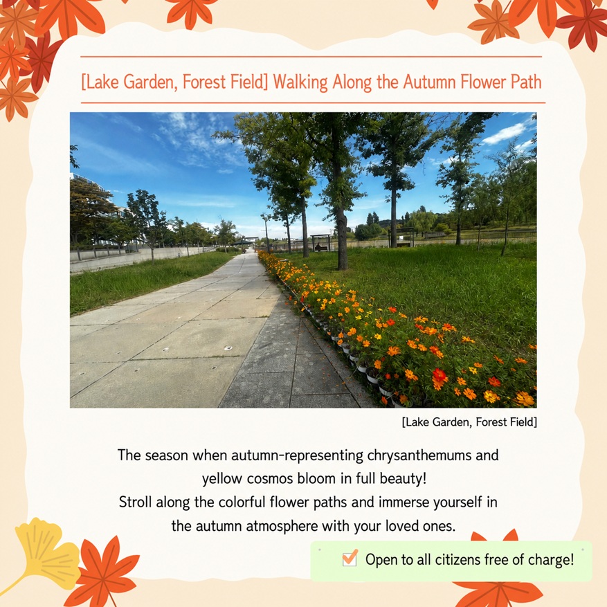 Walking Along the Autumn Flower Path